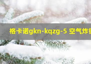 格卡诺gkn-kqzg-5 空气炸锅